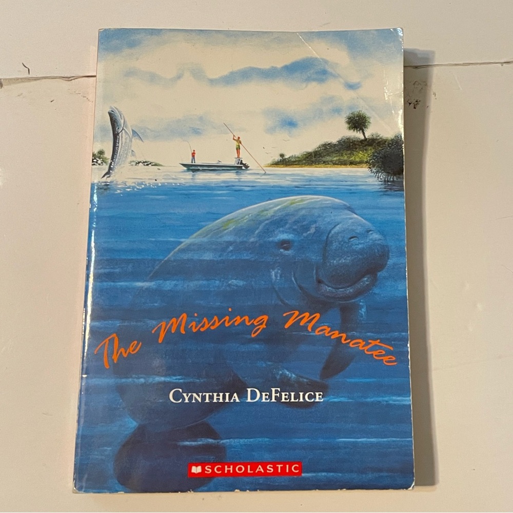 Scholastic The Missing Manatee: A Mystery About Fishing and Family